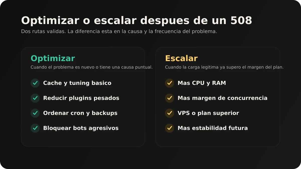 Infografia comparativa para decidir entre optimizar WordPress o escalar el hosting despues de errores 508 repetidos